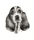 Ink on paper, 243x192mm, £125