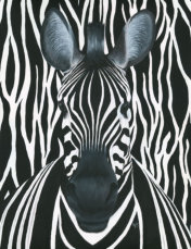 Acylic on canvas, 406x305mm, £225