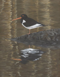 Acrylic on canvas, 450x360mm, £255