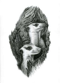 Acylic on paper, 330x234mm, £175