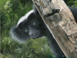 Acrylic on canvas, 460x360mm, £255