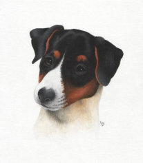 Acrylic on paper, 243x192mm, £125