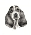 Ink on paper, 243x192mm, £125